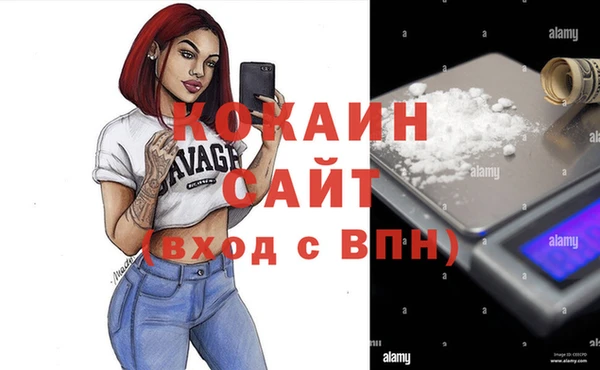 гидра Белая Холуница