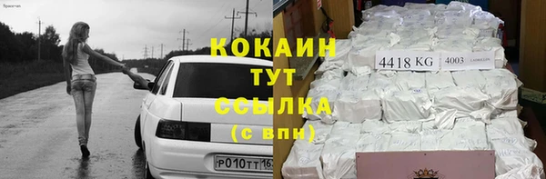 гашик Нефтекумск