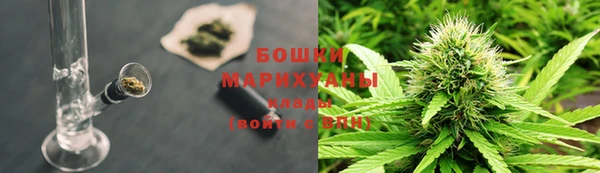 гашик Нефтекумск