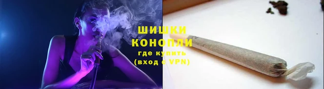 гашик Нефтекумск