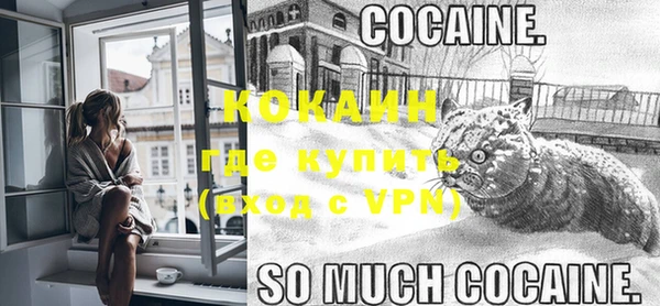 гашик Нефтекумск